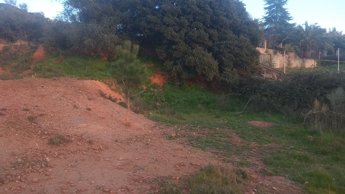 PASTOreIberia's tweet photo. ¿Adivináis en que zona de la foto se hizo redileo el año pasado?

El lugar es una gravera abandonada en la #montañadeCaceres con suelo 100% desnudo restaurandose gracias al impacto animal y posterior descanso.

#redileo
#impactoanimal
#restauracionecologica
#ganaderiaextensiva https://t.co/AJDOy7u8EY