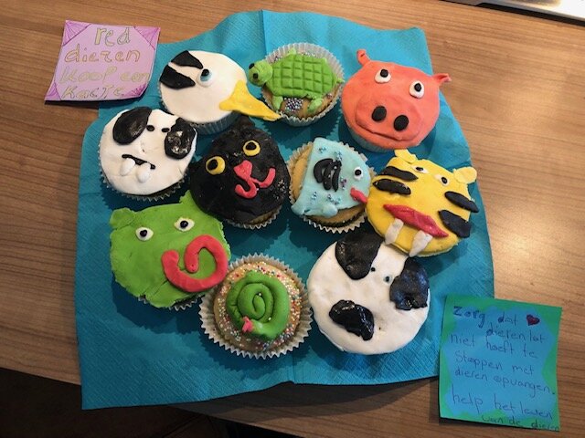DierenLot's tweet photo. #Statiegeldflessen ophalen, #cakejes bakken… daar draaiden deze toppers hun hand niet voor om! Wie dit zijn en welke #acties zij hebben bedacht om geld in te zamelen voor de dieren in nood leest u hier: https://t.co/JQdeFlpdET #hulp #samenvoordieren https://t.co/m4wUEudmzV