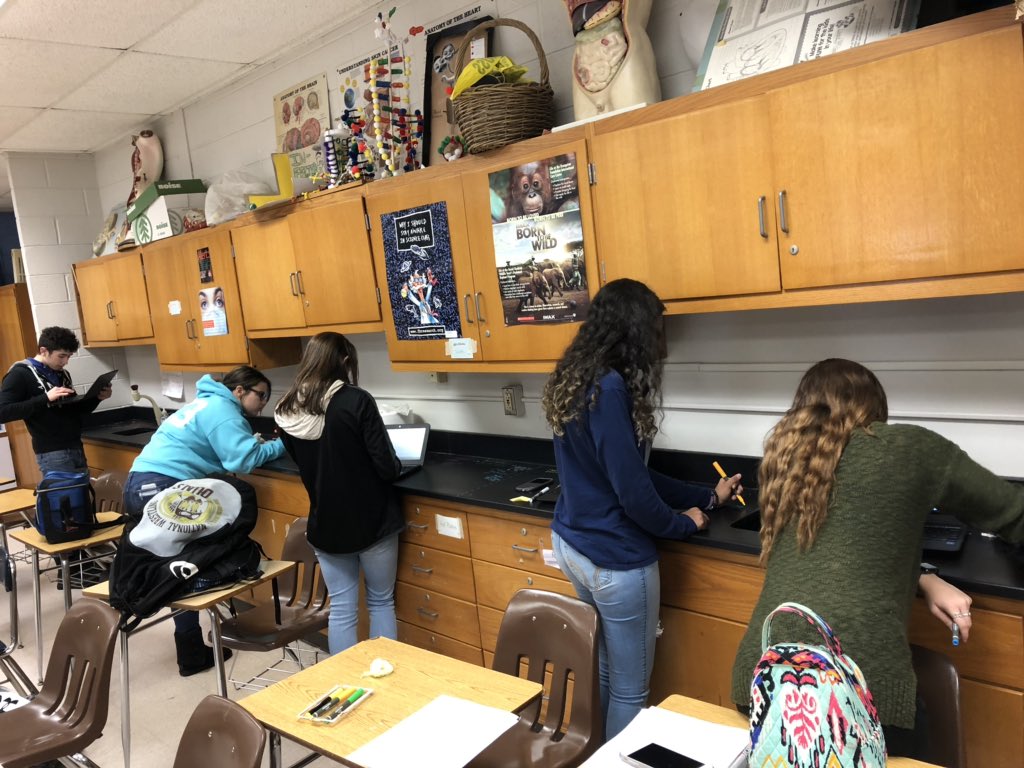 bioshemesh's tweet image. #Chromebooks and #ChalkMarkers let students research and describe what happens to food as it moves through the digestive system #TrumanScience #btsdtigers