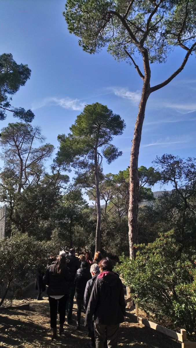 Begonya's tweet photo. Envoltats de natura #XxCanvi9 #Sessió11 Des de Collserola, amb BCN als peus, a @ElsXiprers #SandraMorales ens descobreix un bosc que és una escola. Gràcies per acollir-nos! #Propòsit #Context #Rellevant #Descoberta #Autoregulació #Valors #Xarxesperalcanvi #Transformacioeducativa https://t.co/8cAmvJaSHS