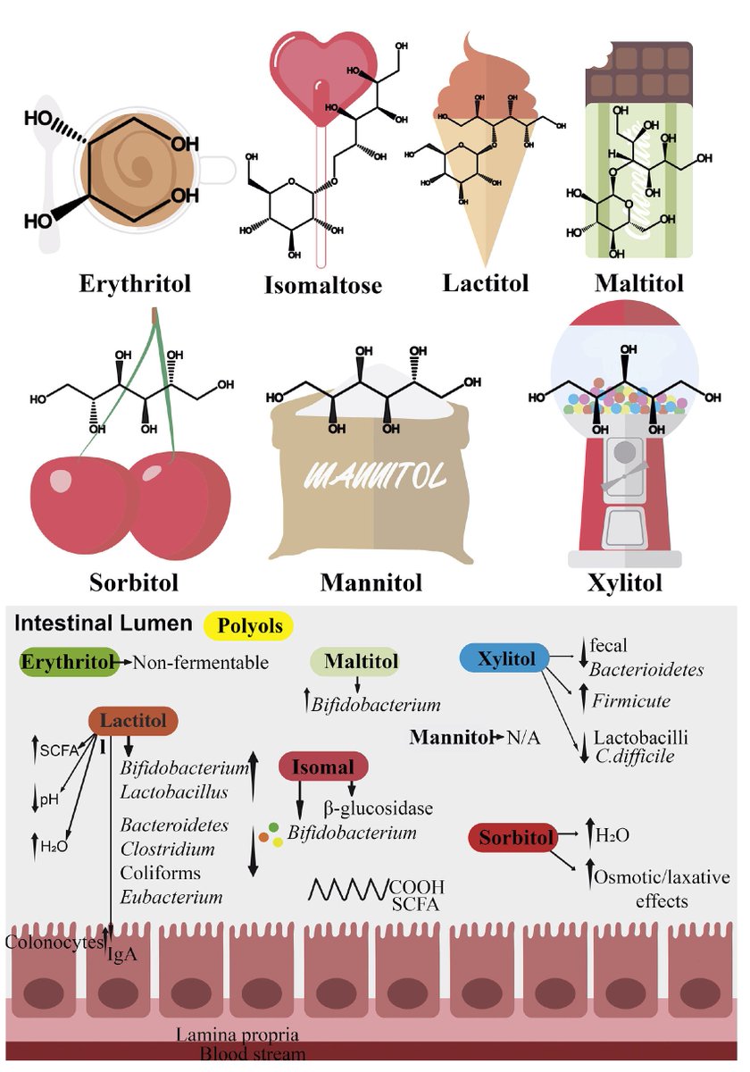marubioendocr's tweet photo. Edulcorantes-(sacarina, Estevia, Sucralosa y polioles) mejoran #microbiota. Tomar caramelos y chicles con xylitiol, evitan la caries y mejoran tu microbiota. 👍https://t.co/5TipkaOWDE @NutriSeen @isidoro_cano @cristinatejerap @mbotana @SEDiabetes @ana_azugas https://t.co/tIrDqMNLRK