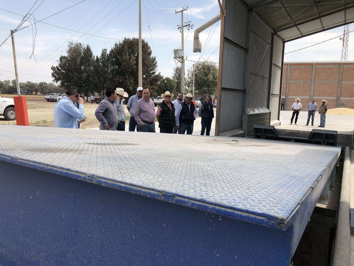 MVZMariaJoseMtz's tweet image. Con acciones en asesoría técnica innovadoras para la cosecha de maíz, comercialización, logramos que nuestros productores tengan herramientas para fortalecer empresas agrícolas, en @municipio_leon nos encontramos en la comunidad de La Sandía.