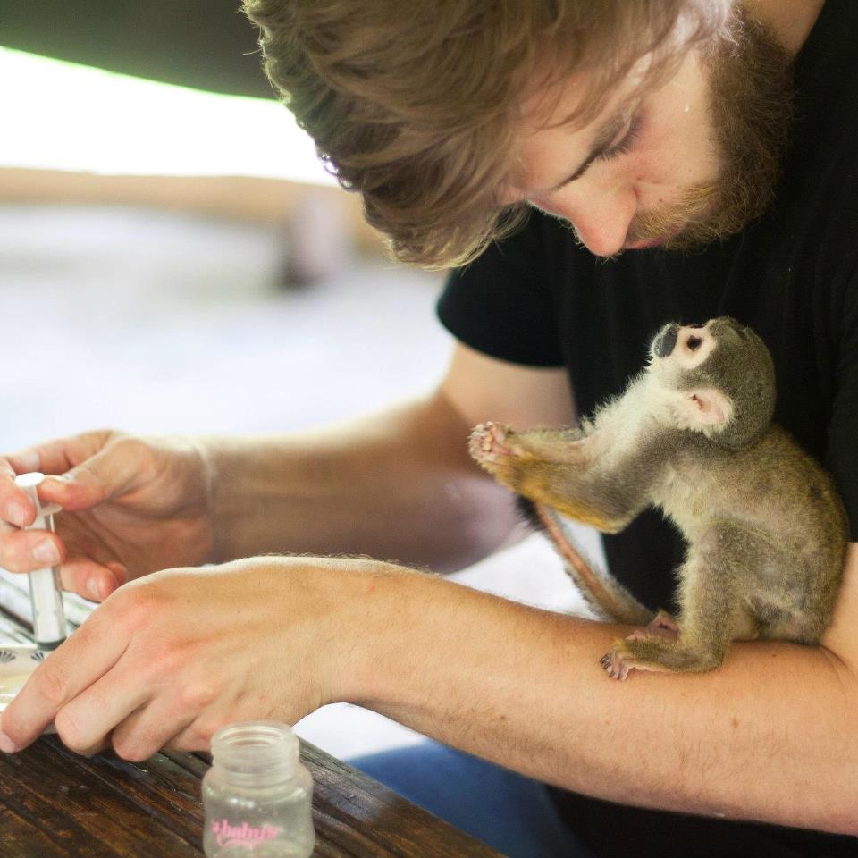 If you are passionate about wildlife, you are going to love this! Learn about the world of wildlife conservation, rescue, and rehabilitation with <a href="/OysterWorldwide/">Oyster Worldwide</a> in #Ecuador!

govoluntouring.com/volunteer-with…

#volunteerabroad #wildlifevolunteer #volunteering #volunteer