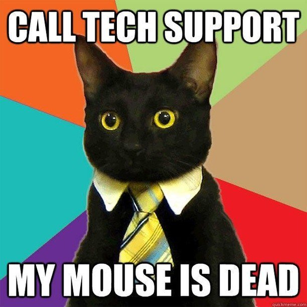 IMCLongIsland's tweet image. Can you help meowt? #techsupporthumor bit.ly/2DqDA4W