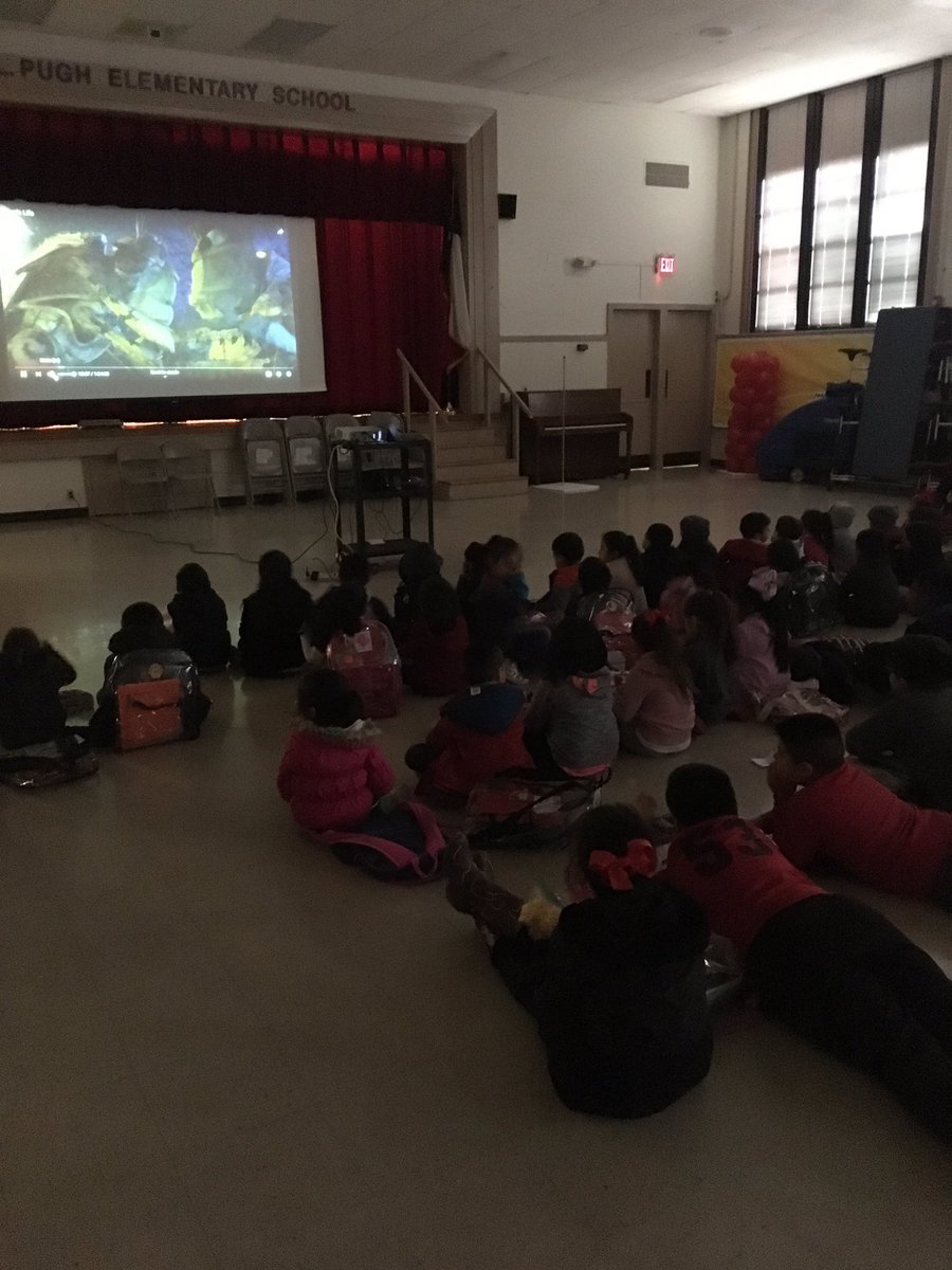 ortizteach's tweet image. Today we celebrate the RED house for having the most Dojo points and best attendance for the month of January! Congratulations Red House @PughRamsHISD @jasonldavila @MsCMontoya @AliciaLGray #pushittothenextlevel #thepughway