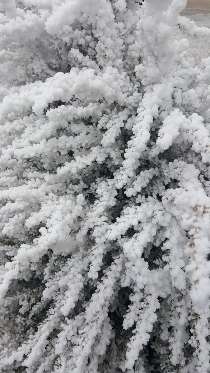 Visit Scott City, KS tweet media