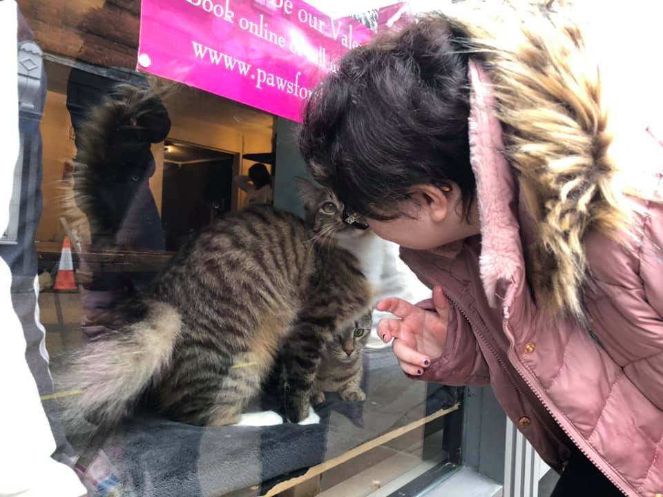 PurpleOakTeam's tweet image. Bethan has found the perfect place for cat lovers. @Pawsforthoughtcatcafe #outandabout #inmycommunity