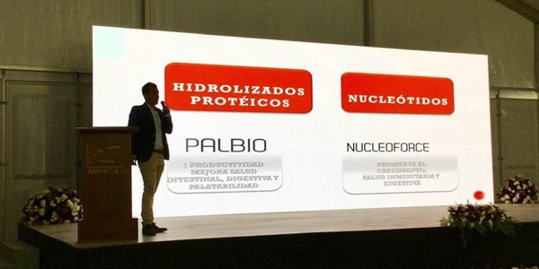 Bioiberica's tweet photo. Exitosa conferencia de Enrique F. López sobre hidrolizados enzimáticos proteicos y concentrados de nucleótidos en #AMVECAJ 2019. ¡Sigue el mayor congreso de #porcicultura en #Jalisco #México! https://t.co/blhWLOzRlW https://t.co/LtSpJDGmQz
