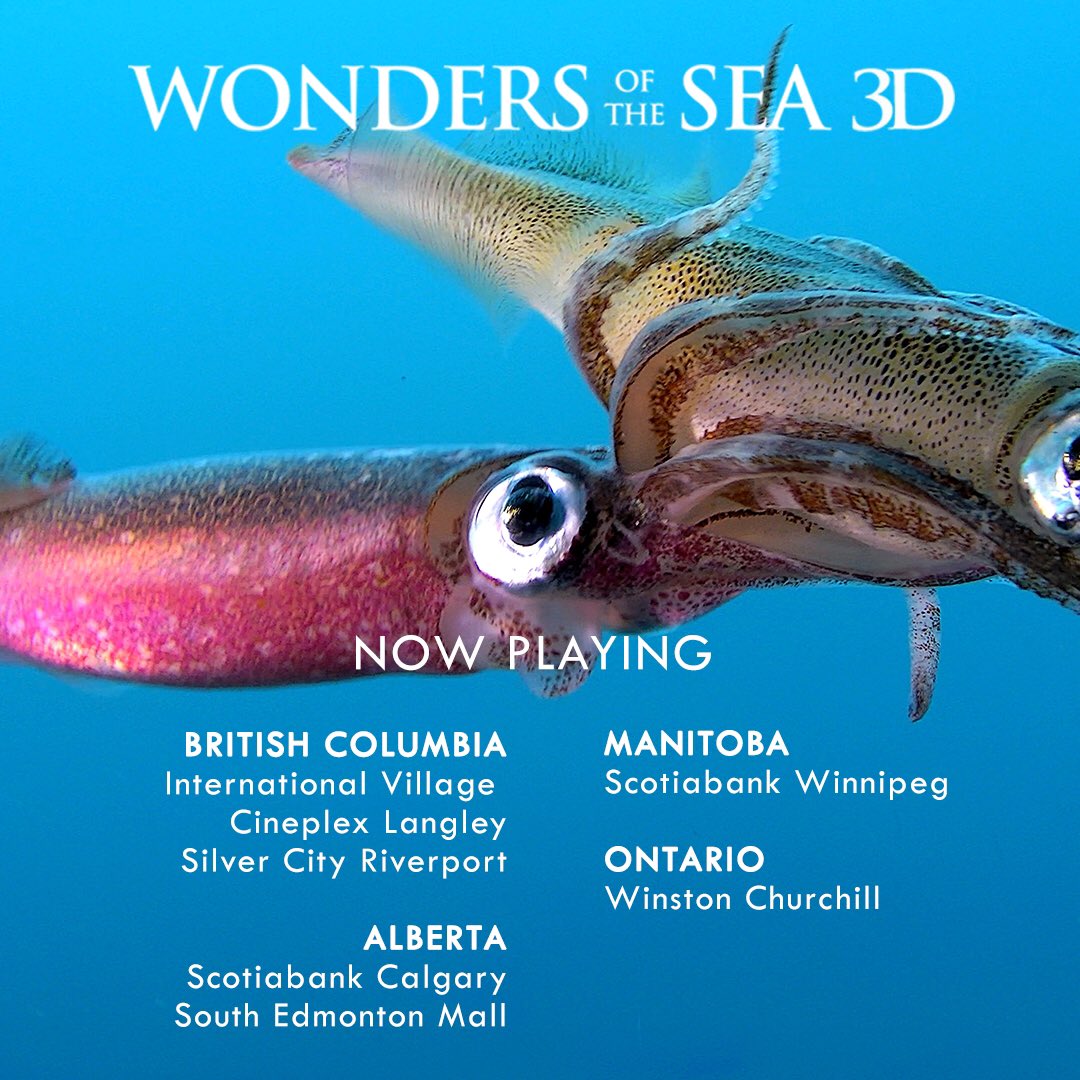 The #WondersoftheSea3D adventure continues in #Canada! 🇨🇦 Explore the beauty of the underwater world with never-before-seen images captured by state of the art filming tools! You will not be disappointed and will be reminded of the importance of protecting our oceans! 🐟🐠🐡🐳