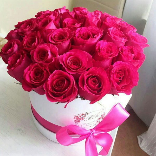 rrem888's tweet photo. @ana660w @eaz32 إذا كان للابداع والتميز عنوان؛ فهو المبدع والمميز  @eaz32 
المشرف لادارة #قروب_الأمــانـــي_للدعم 
الف الف الف الف مبروك
الف مبروك التكريم ايها المشرف الغالي (عاشق الحروف) https://t.co/CkW5YWMPaL