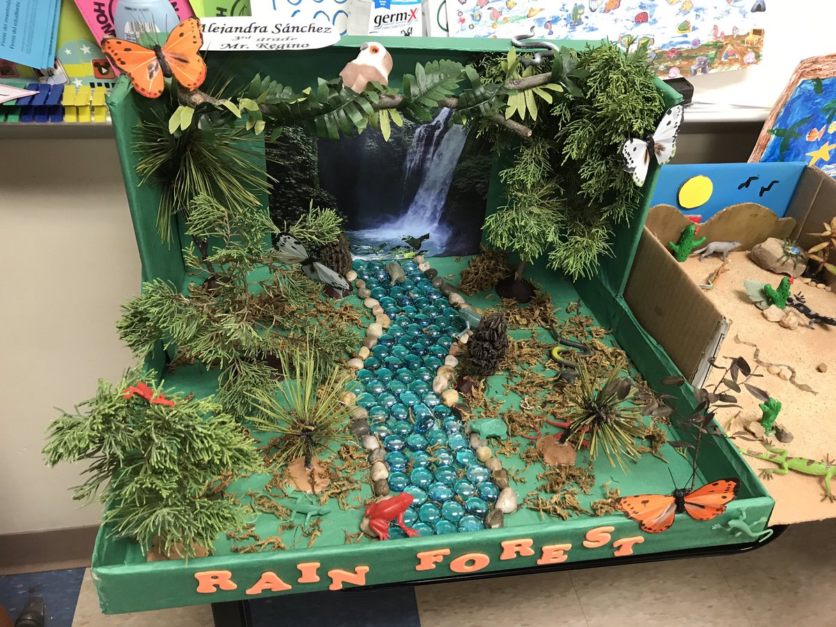Lan (@lle_sci) on Twitter photo I'm so impressed w/ these awesome ecosystem dioramas Mr. Regino's Gr3 Ss created <a href="/MarcellaInt/">Marcella Elementary</a>! #Allin4Science #Allin4Aldine I'm so impressed w/ these awesome ecosystem dioramas Mr. Regino's Gr3 Ss created <a href="/MarcellaInt/">Marcella Elementary</a>! #Allin4Science #Allin4Aldine