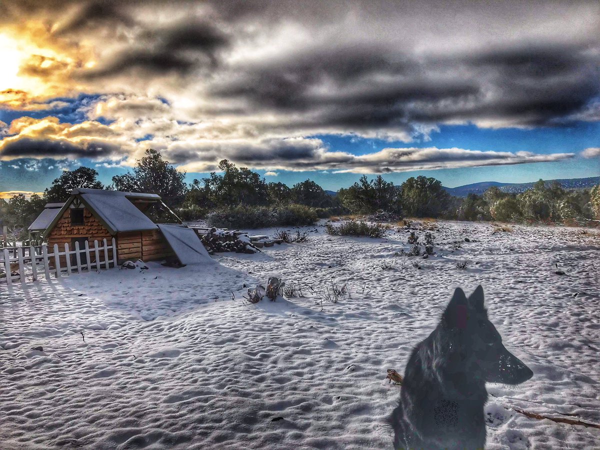 Cimarron_Ranch's tweet photo. Union Reps (Ranger and I) are currently in negotiations with Management (The Boss) to give Labor (Ranger and I) a snow day tomorrow.
Has Hell frozen over yet?
#keepdreaming #snowpocalypse2019 https://t.co/PFXadBDSUA