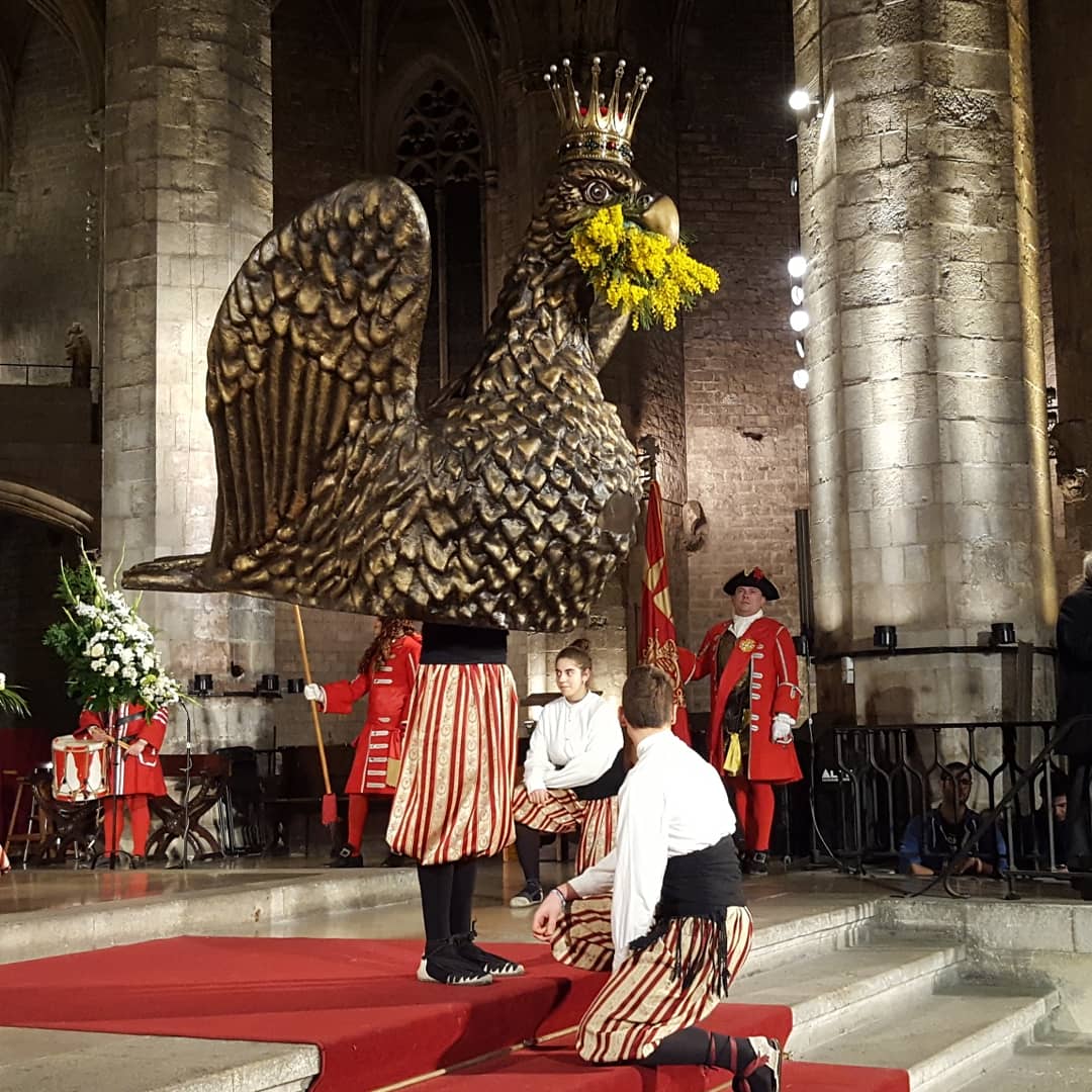 Avui comencen les festes de #SantaEulàlia19 i les divers comencem 5 dies intensos de feina. Però... com ens agrada la #cultura! 😍😁