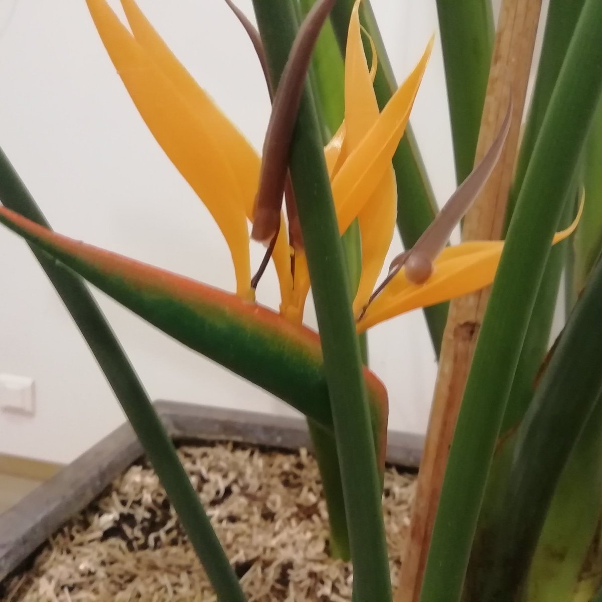 BooksWhen's tweet image. #NouvellePhotoDeProfil