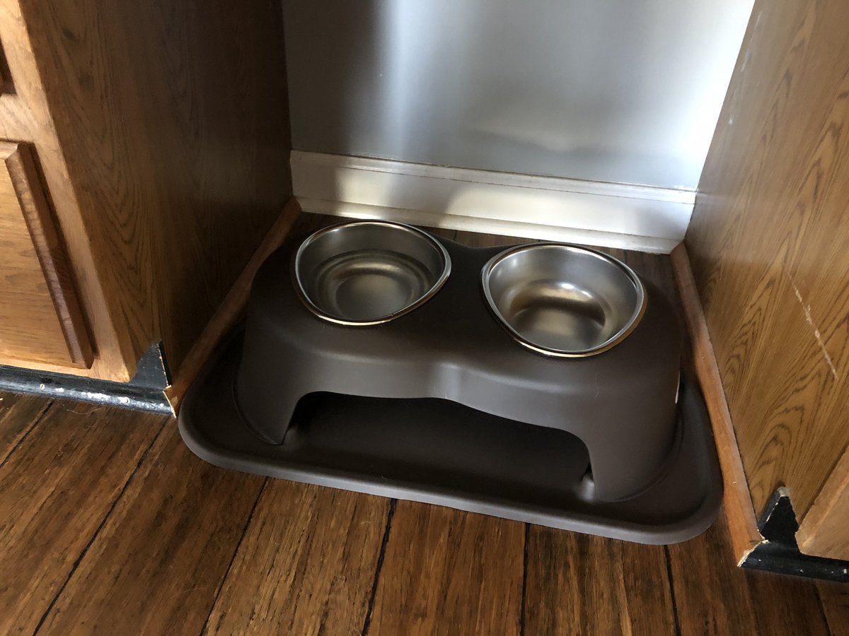 rbarwick515's tweet photo. @PetComfortUSA...somebody got a new dish today https://t.co/gQX1dRBpK9