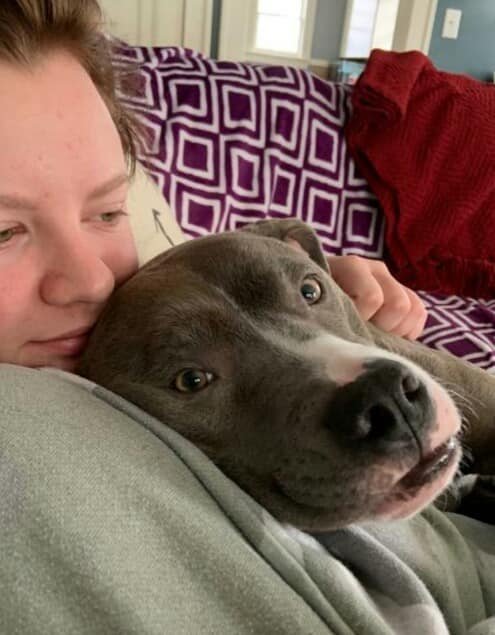 It's #fosterfriday and we are so happy to share that Leia is recuperating with her foster family after her first #aclsurgery! #fostertoadopt #adoptdontshop #shelterdogs