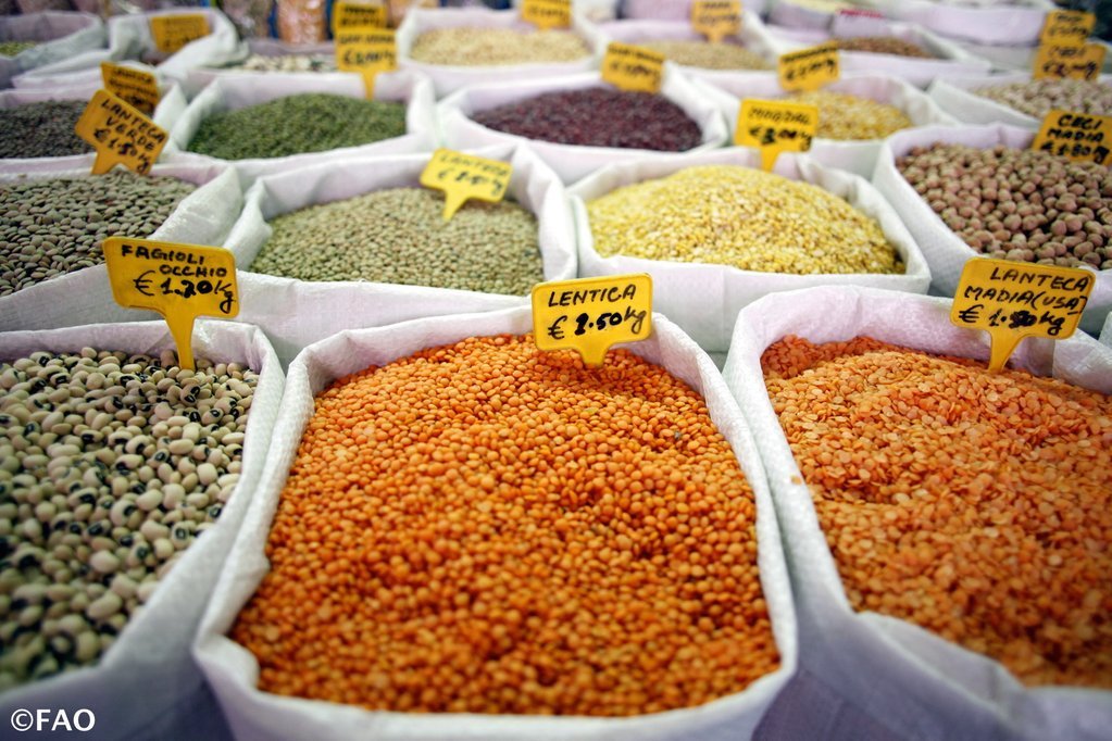 UN's tweet photo. Pulses are more than just nutritious seeds, they contribute to the #GlobalGoals and a #ZeroHunger world. Sunday is #WorldPulsesDay: https://t.co/jC8yscCNrY https://t.co/bIzhE66d8U