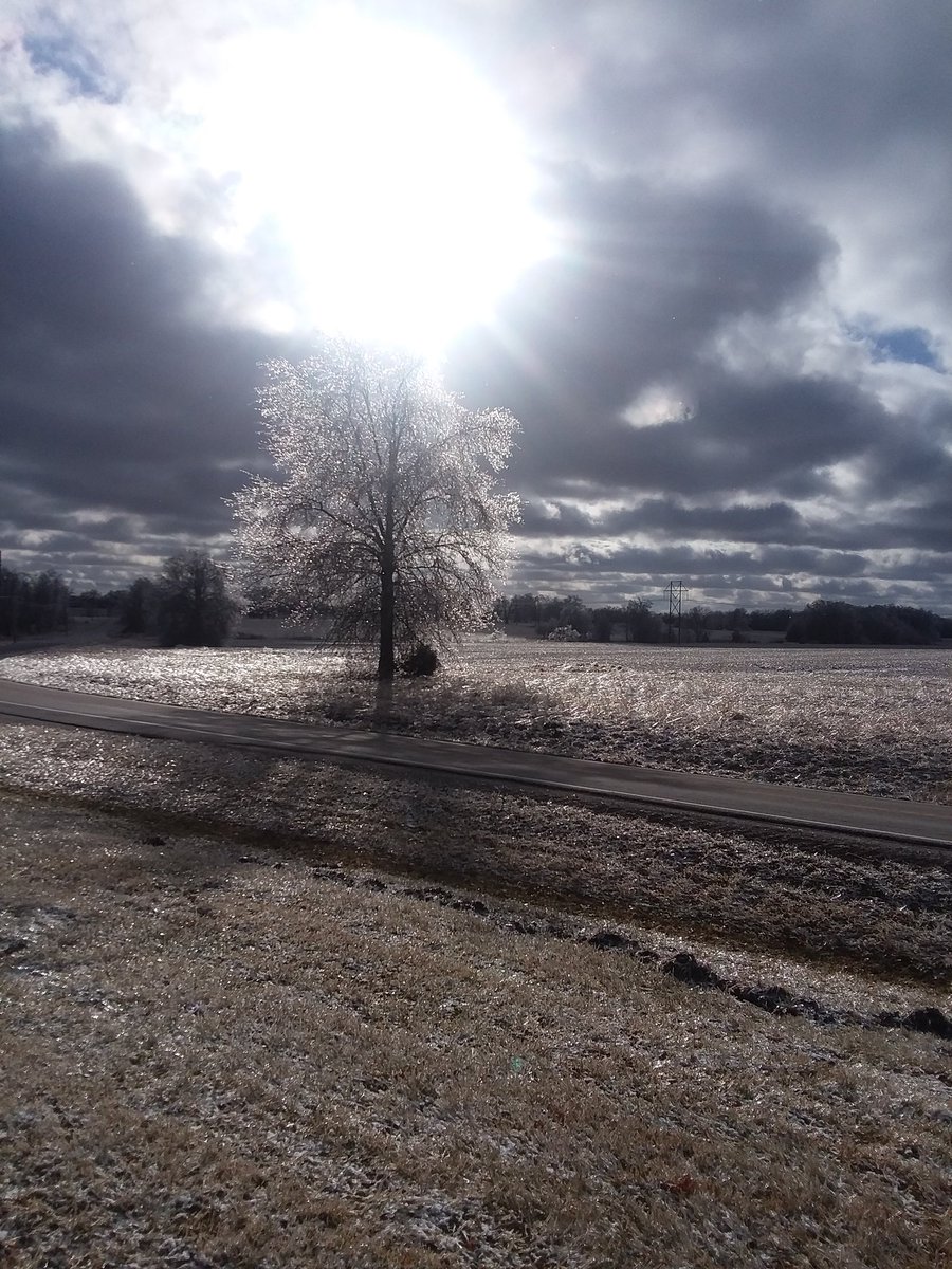 lmuellerTMP's tweet photo. The perks of teaching out on the Prairie! The views of the ice covered landscape were beautiful today. #cpsbest #tmpproud https://t.co/FFt7vPLuOL