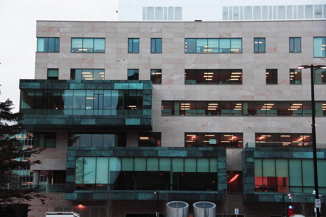 That weathered copper looks phenomenal on the David Braley Health Sciences Centre
#HamOnt #McMaster