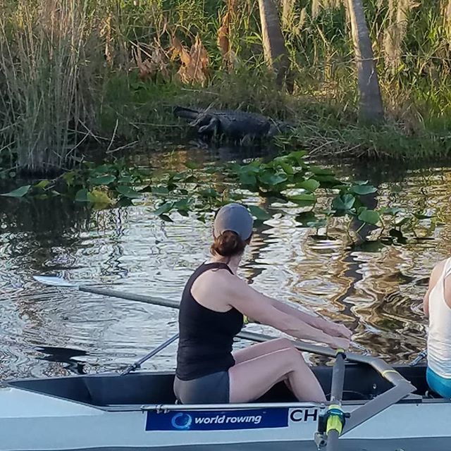 Just a little reptile checking out the rowing here in DeLand! #messingaboutinboats #lifeisgood #swiftrowing #concept2 #wintertraining #exploreflorida #roamflorida #visitflorida #westvolusia #kayak #paddlelife #surfski