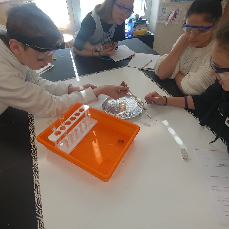 EZAVID's tweet image. Chemical reactions as we learn about chemical reactions! Synthesis, decomposition, &amp;amp; a double replacement! #handsonlearning #whydiditdothat #myscienceclass @henleyhornets @k12albemarle