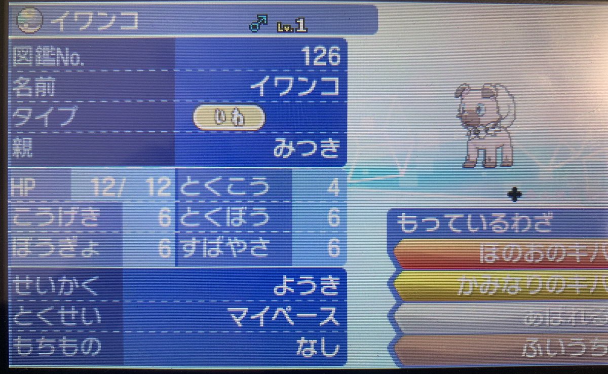 光来 ポケモン剣盾 Usum マイペース持ちイワンコの5v個体生まれてくれました ムンボ入りにしたくて通常イワンコから頑張って遺伝させちゃいました あとはまよなかの夢個体厳選に取りかかろうかな ポケモンウルトラサンムーン T Co