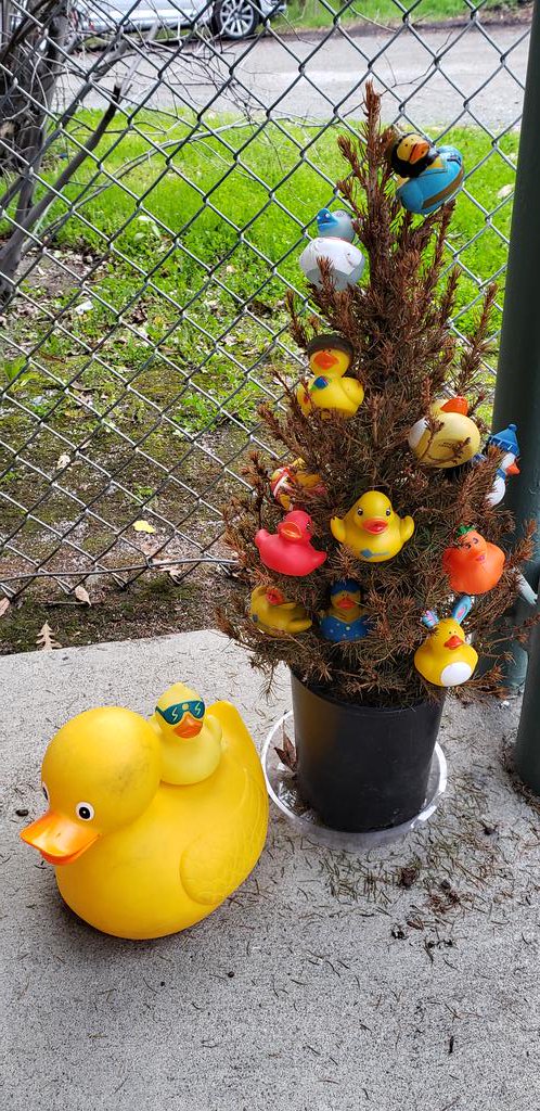 imanoleander's tweet photo. #deadducktree https://t.co/Zgbbe6Uzeg