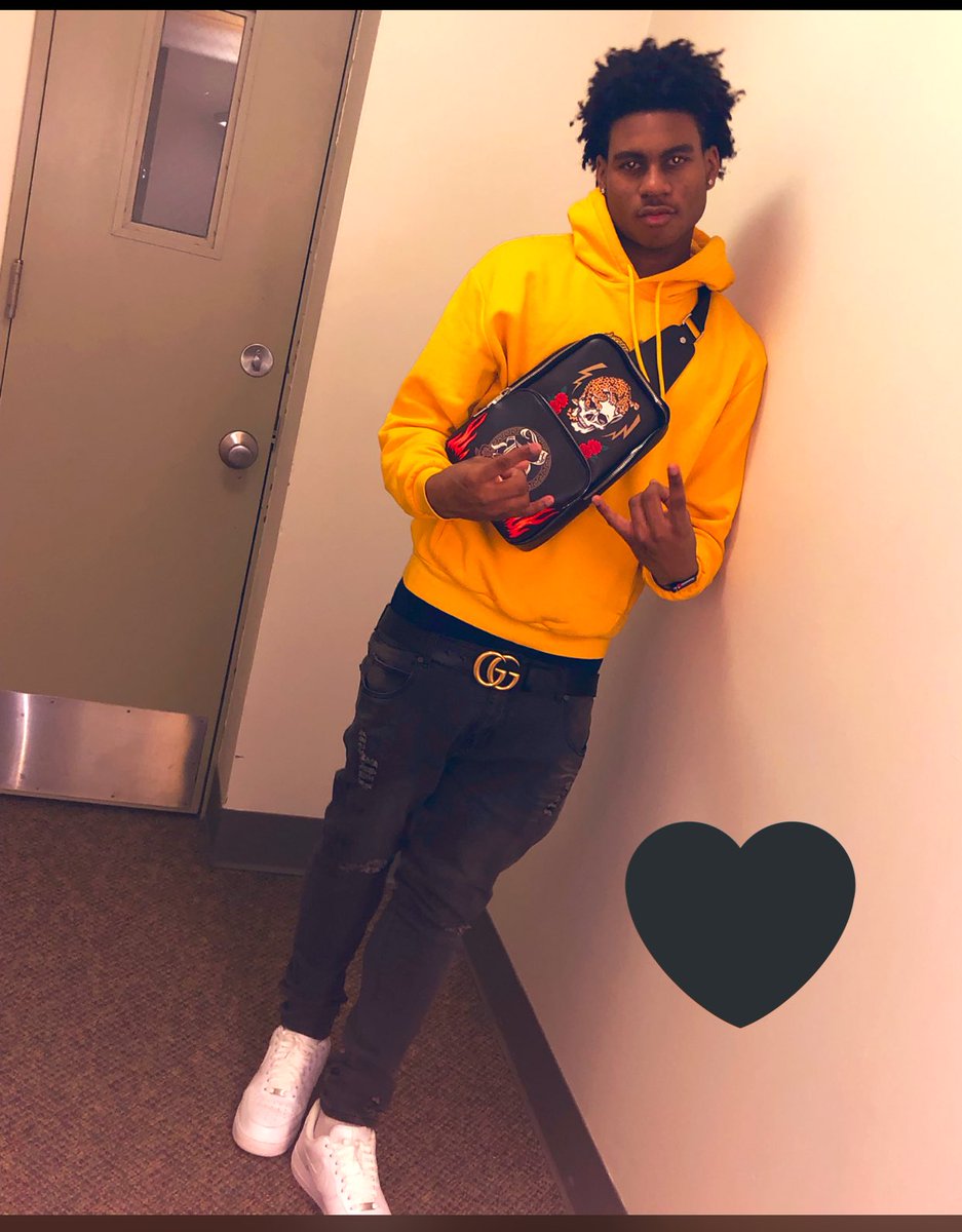 Z🦁 tweet media
