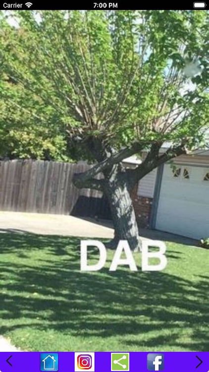 ThePaverGuys's tweet photo. Ever seen a tree dabbing? 😂

#landscaping #landscape #tree #dab #yard #garden

IMAGE: https://t.co/FA32PD3Df4 https://t.co/7dCvEHNjQ4