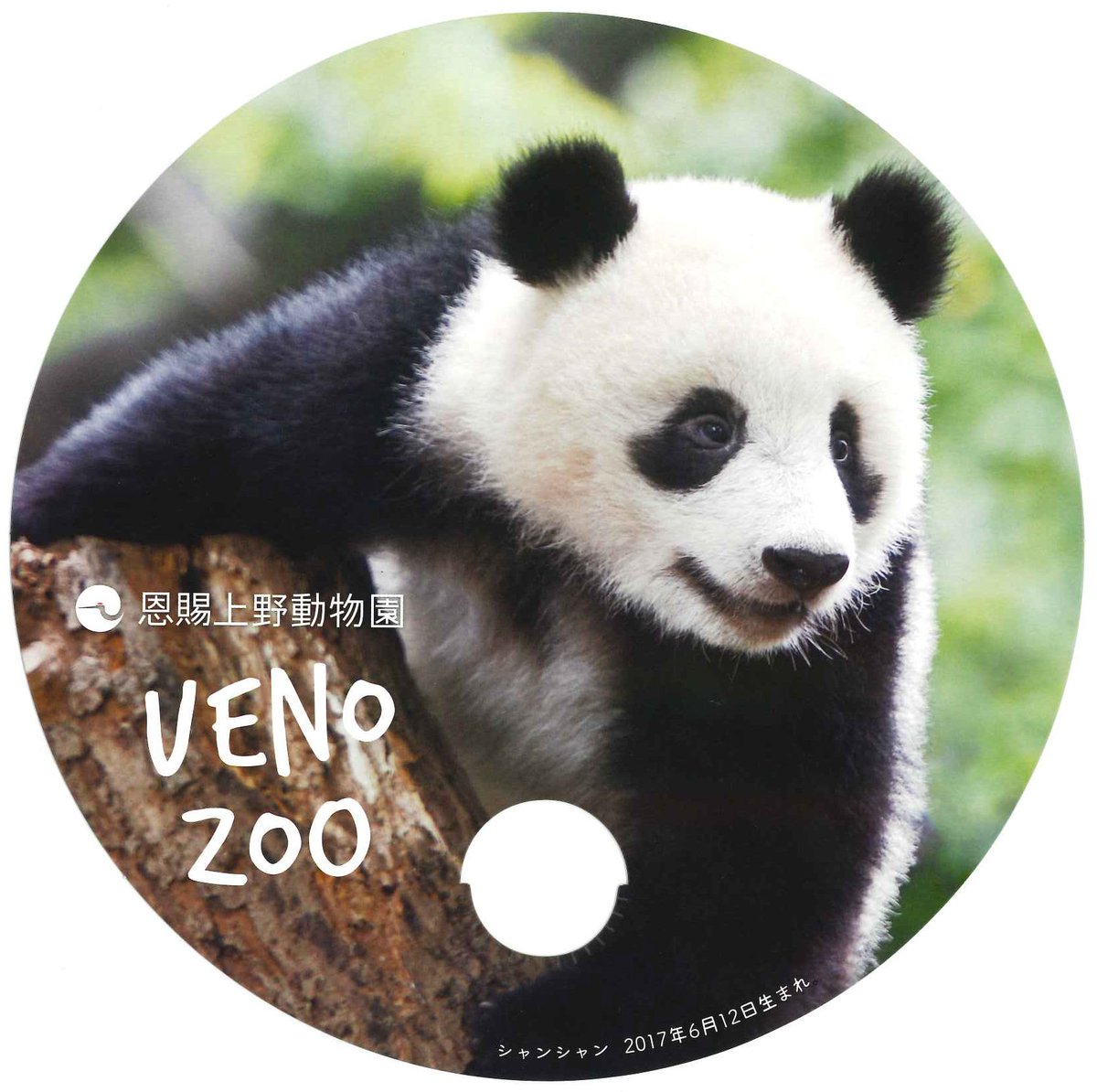 東京都美術館 上野動物園 相互割引実施中 奇想の系譜展 と上野動物園 Uenozoogardensでは 相互割引を実施中です それぞれのチケットをカウンターでお見せいただくと 入園料金 観覧料金が割引となります 詳しくはコチラをご確認ください