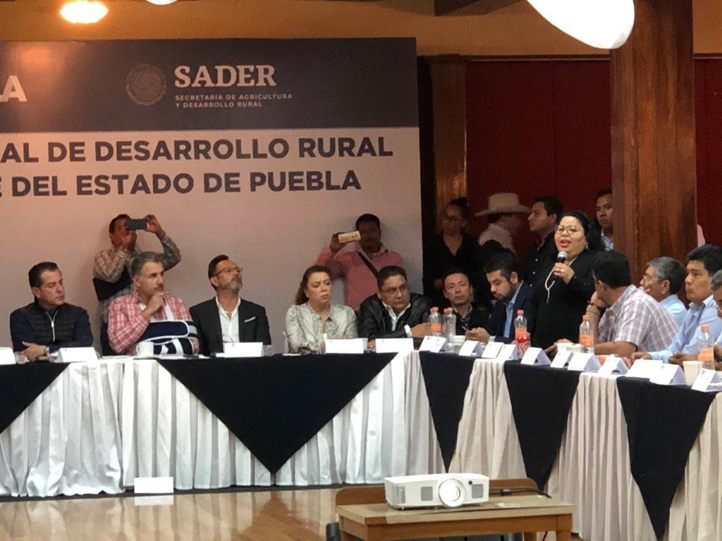 MaritzaMarinM's tweet photo. Participé en Sesión del Consejo Estatal de Desarrollo Rural Sustentable #Puebla. Con productores, especialistas, líderes y funcionarios d 3 niveles, construimos condiciones d apoyo para campesinos. Me dio gusto saludar amigos. Mi afecto cordial a @FrancoR01 y amigos de @SADERPue. https://t.co/ciuwLSAul2