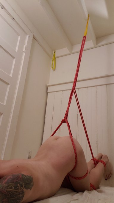 Having some solo #bondage fun today.  #amateurporn #tgirl #kink https://t.co/4JqSrtSV4T<a href="/tag/bondage"class="tags">#bondage</a><a href="/tag/amateurporn"class="tags">#amateurporn</a><a href="/tag/kink"class="tags"><span>#kink</span></a><a href="/tag/tgirl"class="tags"><span>#tgirl</span></a>