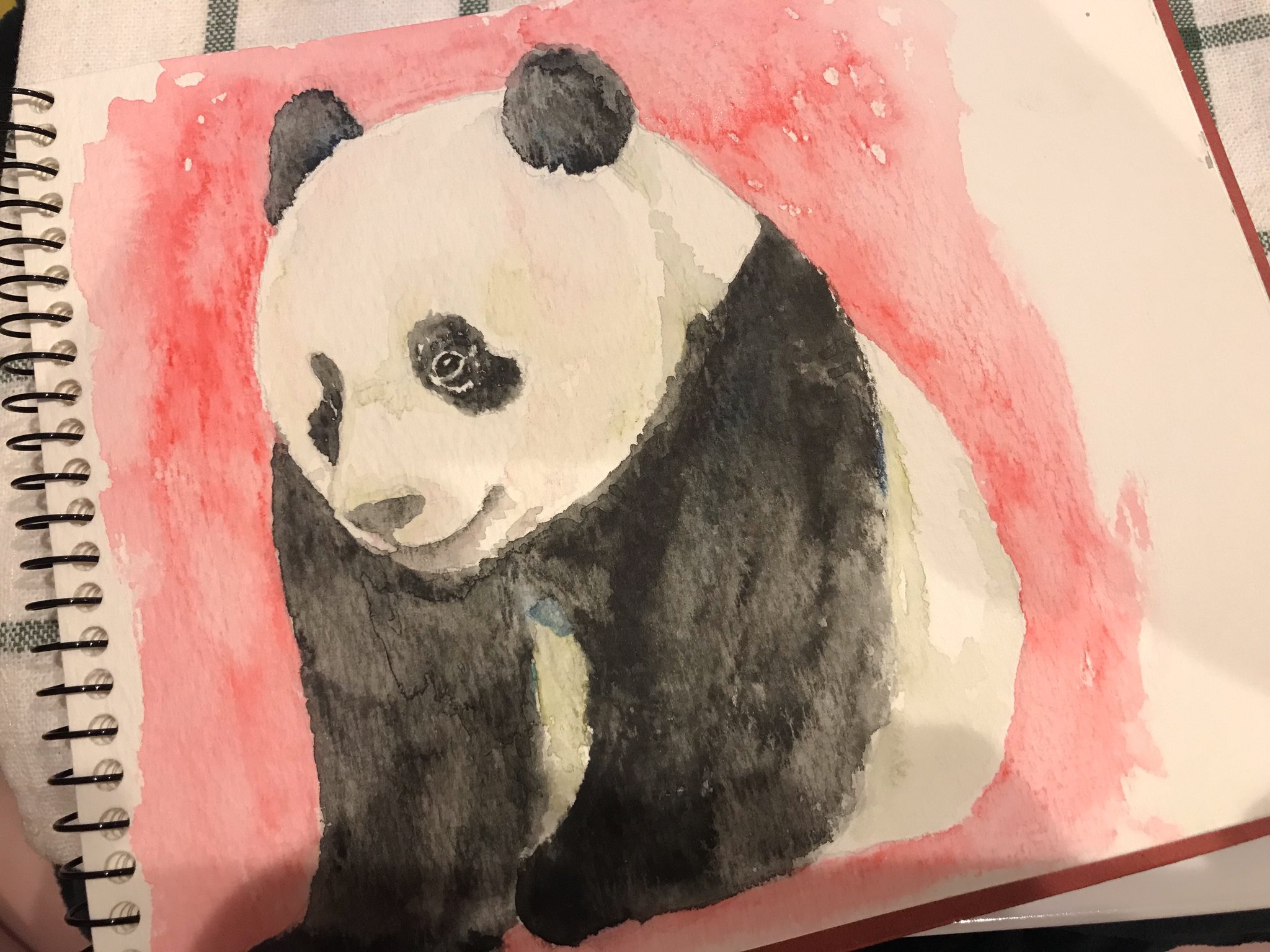 すなぱんだ 去年描いた絵 シャンシャンが公開された頃はまだ絵の具持ってなくて 水彩色鉛筆で描いていました 荒いけどこれはこれで味があるのではと思ったりもしています パンダ シャンシャン Panda 上野動物園 水彩 すなぱんだ 去年描いた絵 シャンシャンが公開された頃はまだ絵の具持ってなくて 水彩色鉛筆で描いていました 荒いけどこれはこれで味があるのではと思ったりもしています パンダ シャンシャン Panda 上野動物園 水彩