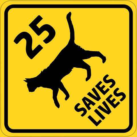 laughindogssign's tweet image. 25 mph CAT SIGN Saves Lives 12x12 #laughingdogsign If the people just drive slowly and cautiously, we definitely can save our pets lives. This is a custom sign request. bit.ly/2DrmaVQ #catsign #reprodcution #wallart #metal #homedecor #collectibles #animalsign