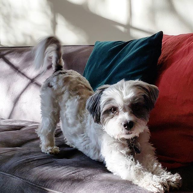 Creatively_LA tweet media