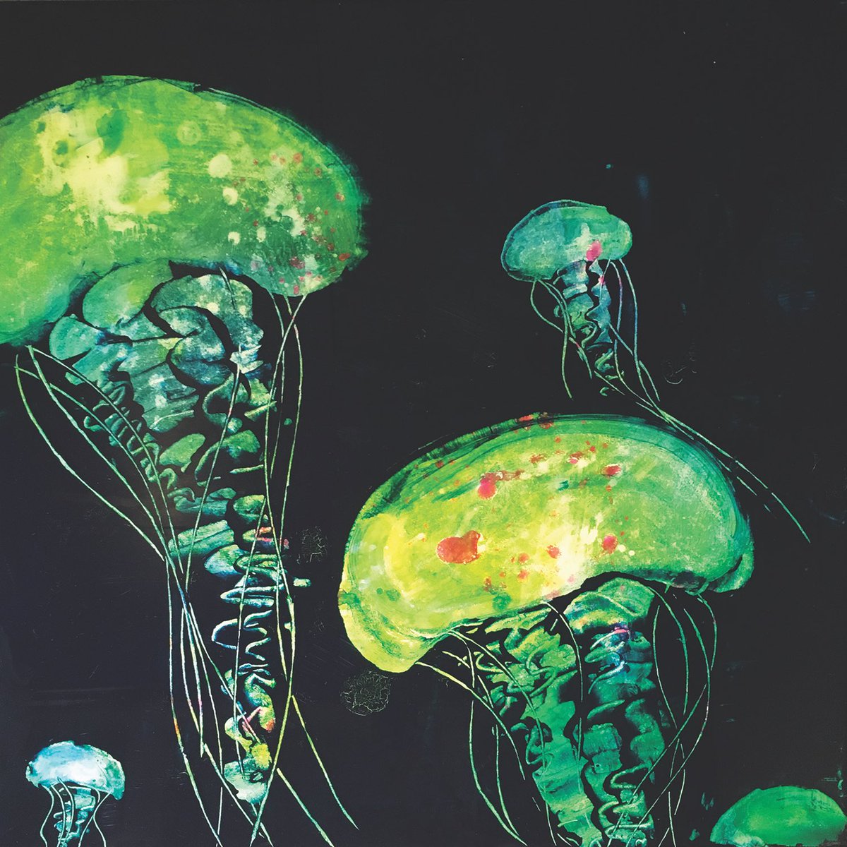 girlcreative's tweet photo. Check out https://t.co/Q9Em4sPNpk for more of the Jellyfish series (and lots more)! #artistsontwitter #jellyfish https://t.co/1BSxcQcxIR