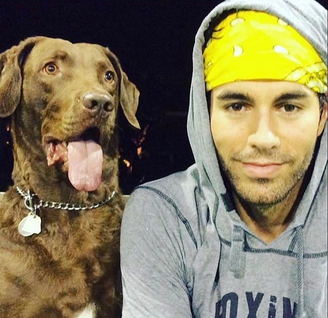 😍😍
Repost from <a href="/EnriqueIglesias/">Enrique Iglesias</a>: “Friday night doubles 🎾🎾🎾” #EnriqueIglesias #Enrique #Iglesias #oneloveonelove #enriqueiglesiasportugal bit.ly/2TGcQE7