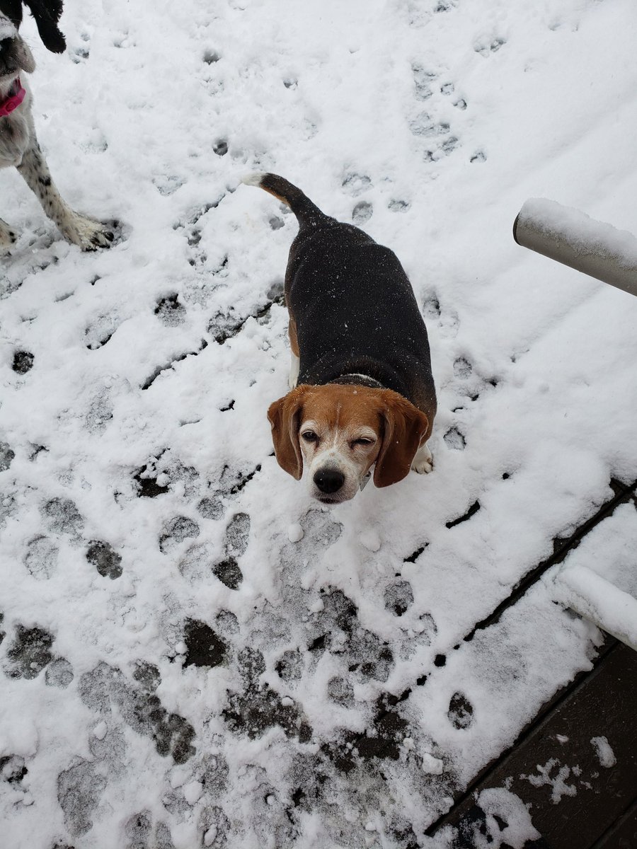 Snow day