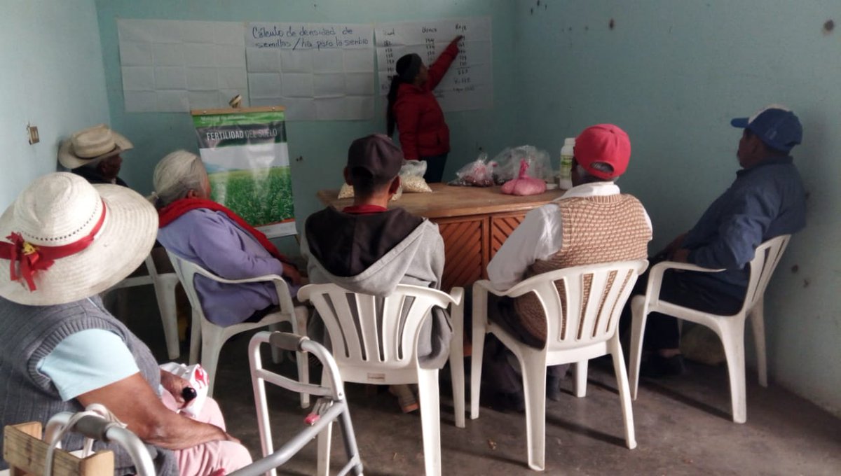 BeVaLi6's tweet photo. #PROAGROCapacita a pequeños productores de maíz del mpio. de Aljojuca, Pue. para calcular la densidad de siembra para el PV 2019 y hacer cambio en el arreglo topológico. @victor_suarez @vmva1950 @bramaccimmyt @tcasaya @KarlaVeronicaRM @fabriciogar63 @LideresProagro @sevillaaraul https://t.co/Z50c1c9pgR
