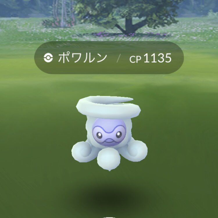 雪ポワルン 雪ポワルン