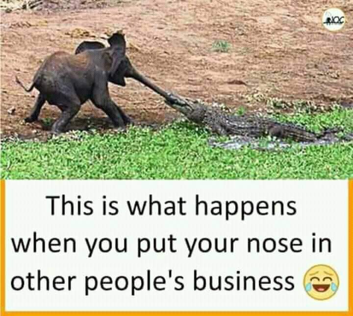 LinnyLigalevu's tweet photo. I was told to remove a tweet that i posted a few days ago because some tweedybird wit nose longer than pinocchio chitchat around that I was implying it to a particular person.... bunene not all posts are about you... oh well on the fun side NOW I KNOW #siosio
#getAlife #masima https://t.co/86Wl1reJv3