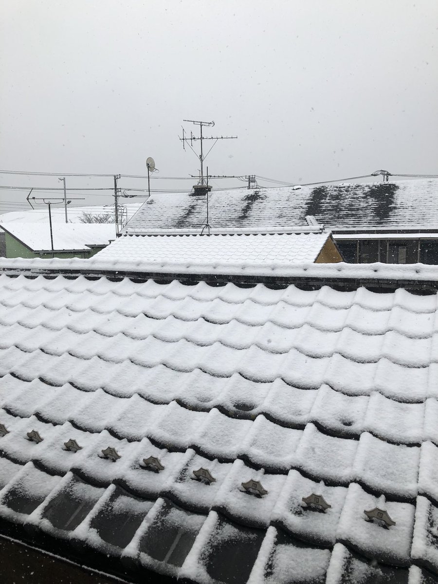 久しぶりに雪が積もった〜☃️
転んで春休みを台無しにしたくないからバイトは歩きで行こうかな😅
東北の方の人達と比べて雪に慣れてないので気をつけますw