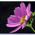 towerham's tweet image. What Are The Nutrients In 🥝 Superfoods?

Although all types of food you eat contain nutrients in some amount, there are some foods that prove to be more benef ..

ultimatesuperfoods.org/what-are-nutri…