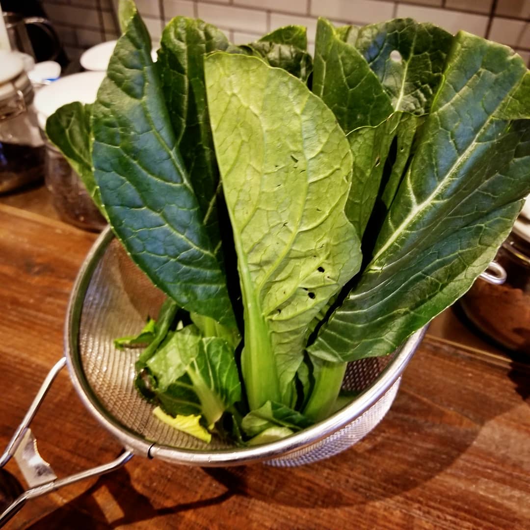 Ccafe18's tweet photo. 本日のワンプレートランチです。
白菜をじっくり煮込んだくたくた煮ソースは優しいお味です🎵
@Ccafe18
#ccafe
#大阪市北区浮田
#天神橋筋六丁目
#天神橋筋六丁目カフェ
#ナチュラルフード
#おしゃれカフェ https://t.co/WDPeE00MHb