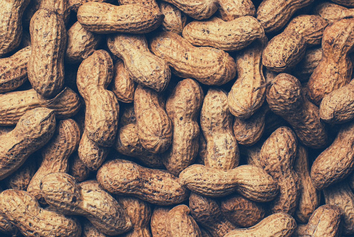 breaksice's tweet image. FACT: The National Peanut Board estimates that it takes a whopping 540 peanuts to make a standard 12 ounce jar of peanut butter.