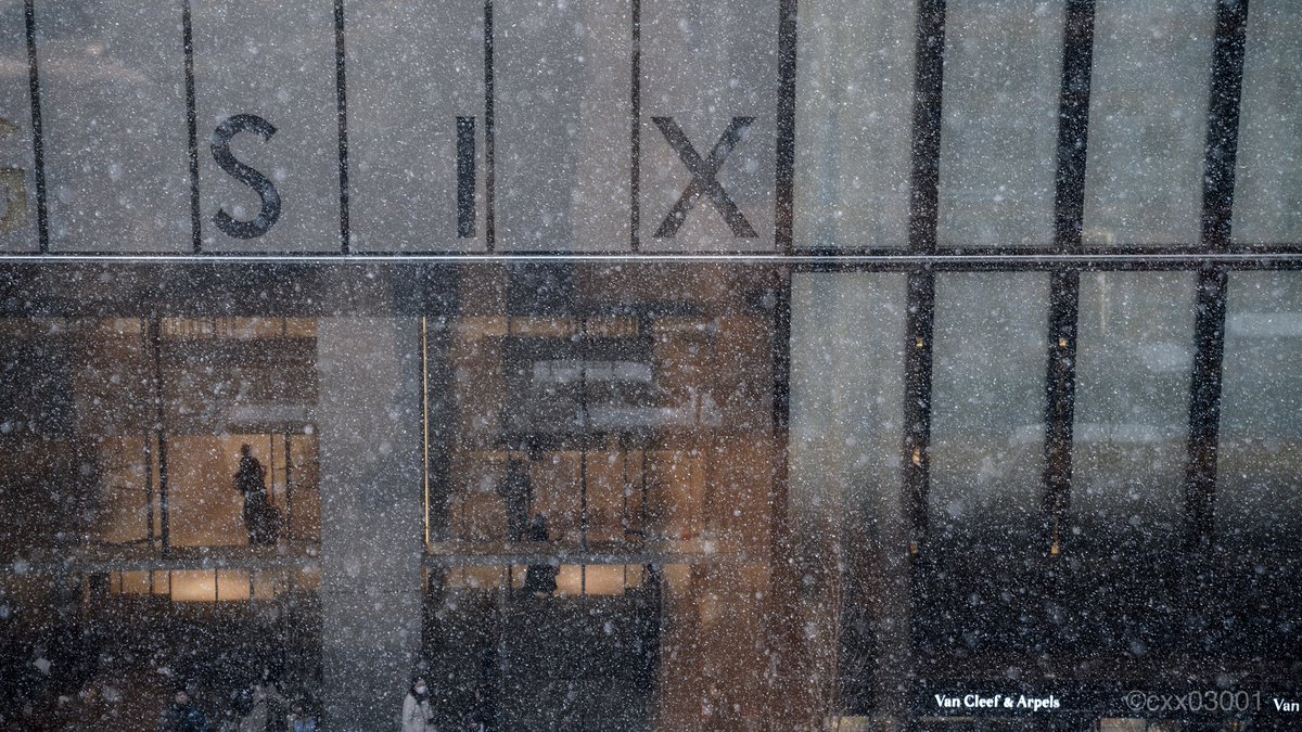 東京雪
