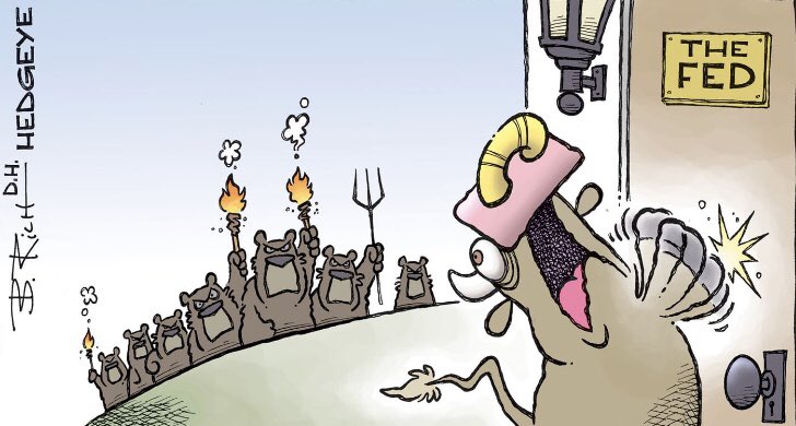 Risultati immagini per federal reserve hed geye