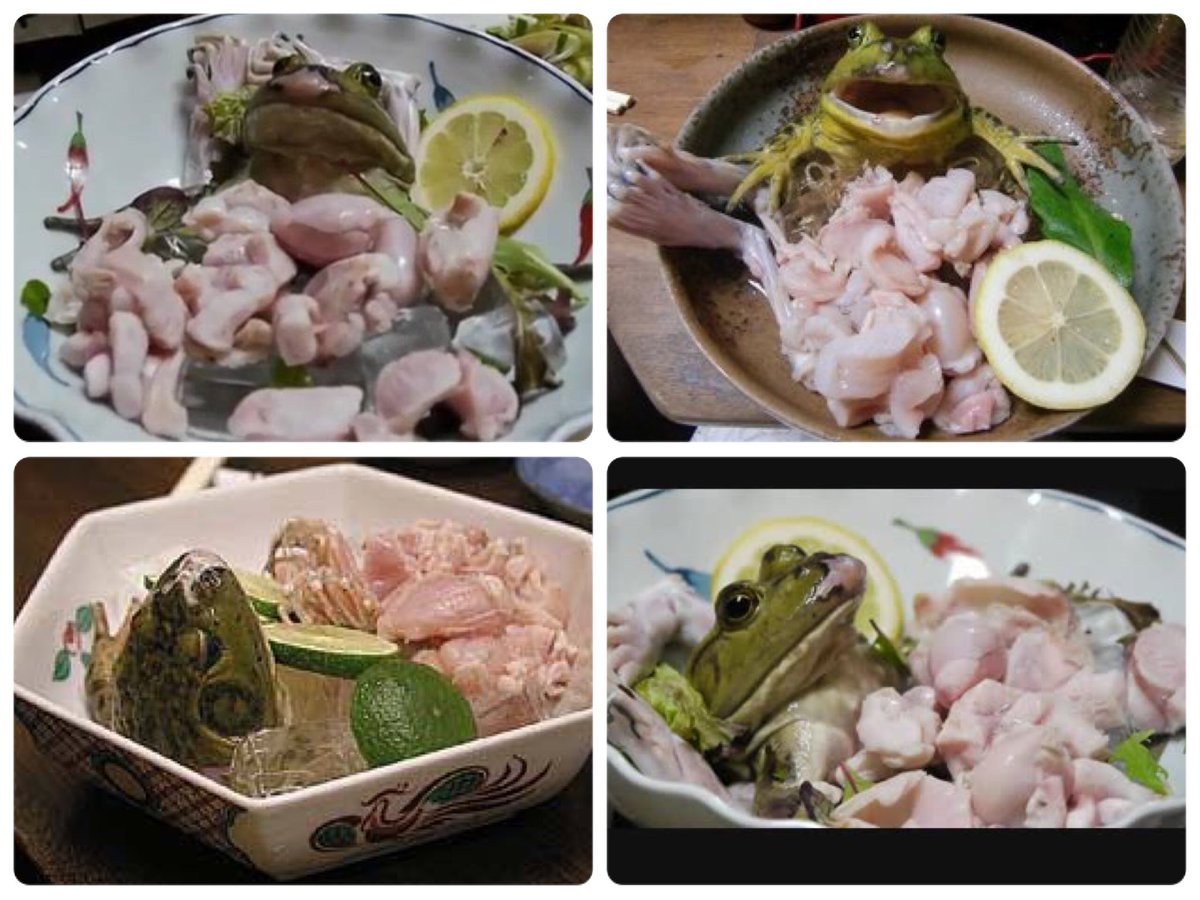( 閲覧注意 ) ?の刺身 
