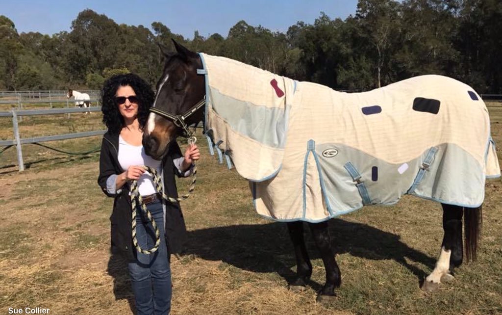 ripitpatchit's tweet image. Just another day saving money! Patched my rug.
#HorseRacing #horseracetrainers