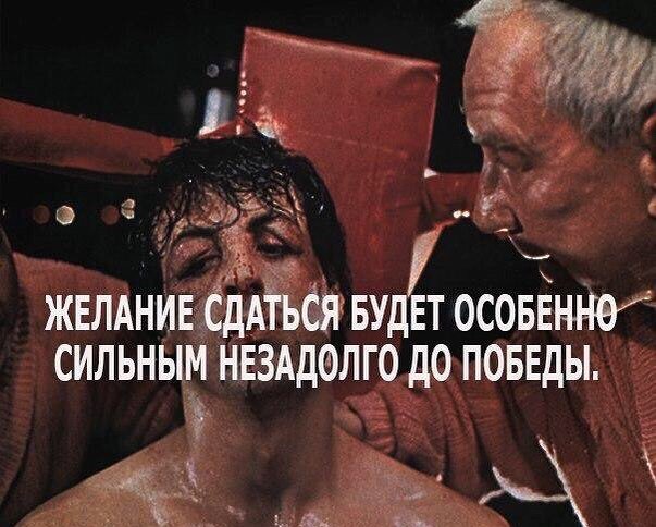 fight_evolution's tweet image. #fightevolution #sport #ufc #mma #box #sambo #judo #muaythai #bjj #fight #бои #соревнования #нокаут #бокс #мма #самбо #дзюдо #борьба #тхэквондо #тайскийбокс #рукопашныйбой #кикбоксинг #каратэ #тренировка #спорт #мотивация #зож